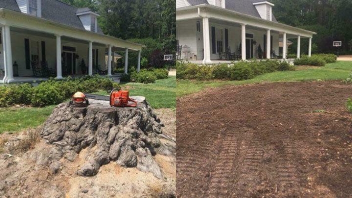 Stump Grinding before : after